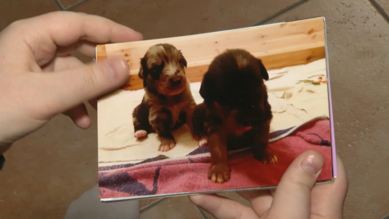 MEgional am 13. Januar 2020 mit dem Spendenhund für Marie MEgional am 13. Januar 2020 mit dem Spendenhund für Marie