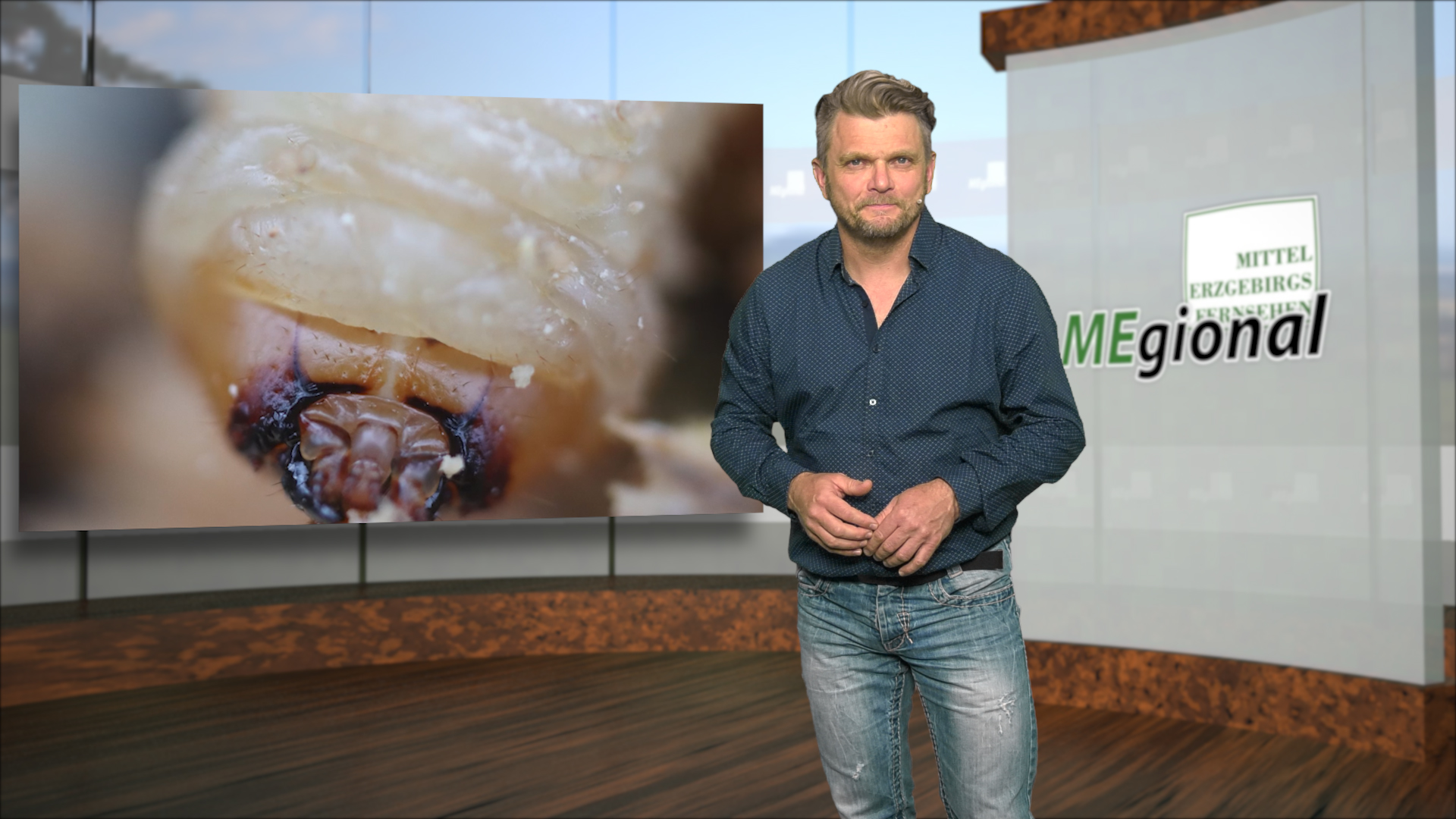 MEgional am 25. Mai 2020 mit dem Borkenkäfer im Erzgebirge MEgional am 25. Mai 2020 mit dem Borkenkäfer im Erzgebirge